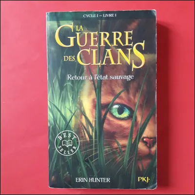 En combien de temps le tome 1 du cycle 1 a-t-il été écrit ?