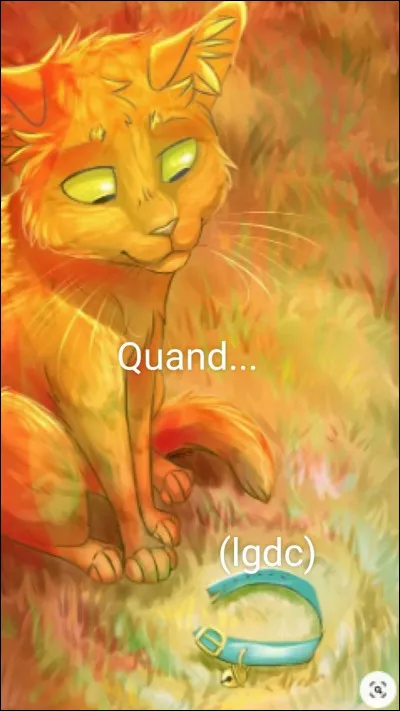 Si Étoile de Feu avait été une femelle, avec qui aurait-elle eu des chatons ?