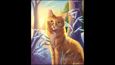 Connais-tu le chat qui est sur cette image ?