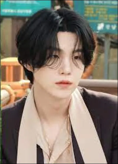 Quels sont les rôles de Suga ?