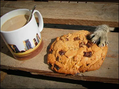 Que préfères-tu manger ?