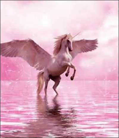 Es-tu une fille ou un garçon ?