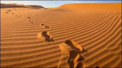 Deux intellectuels assis vont moins loin qu'une brute qui marche !