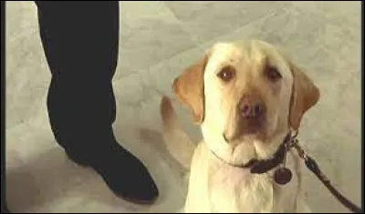 On ne sent pas le cul des filles, voilà. Sauf si c'est elles qui demandent, si c'est elles qui demandent, tu vois avec elles !