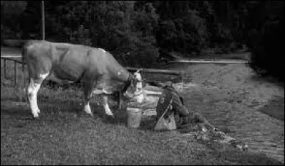 Ah la vache, moi je la sens bien la réponse !