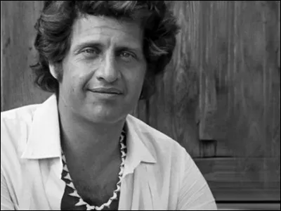 Dans quelle décennie sa carrière musicale débute-t-elle ?