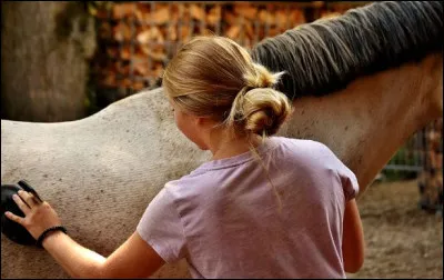 Sur quelle partie du corps utilise-t-on l'étrille ?