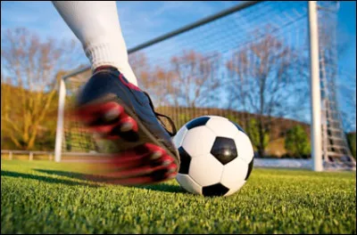 Quel footballeur a inscrit un total de 303 buts lors de sa carrière ?