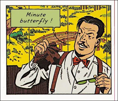 Toujours cet espèce de flegme typiquement britannique, dit-on... Vous ne trouvez pas ?