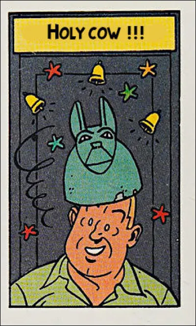 Franchement, si vous parvenez à vous y retrouver dans cette basse-cour, je vous tire mon chapon... Que dirait-on, en français, pour traduire cette expression ?