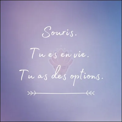 Tu préfères que ton ou tes personnage(s) principal(aux) soi(en)t... (1)