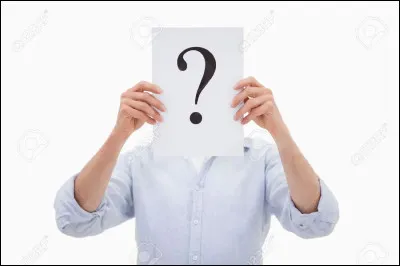 "Moi ! Je suis un personnage culte des jeux vid&eacute;o ! Si tu n'as jamais entendu parler de moi alors tu vis s&ucirc;rement dans une grotte, ma rapidit&eacute; est mon atout, j'ai m&ecirc;me eu le droit &agrave; mon film !" :