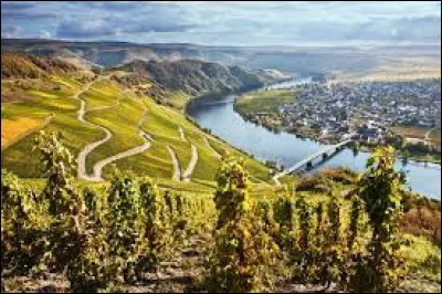 Le département français qui a pour numéro le 54 est la Moselle.