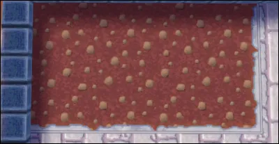 De quel circuit provient cette image ?