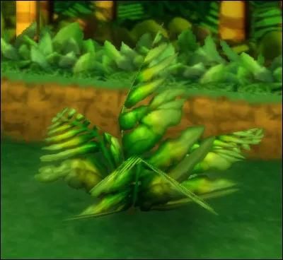 De quel circuit provient cette image ?