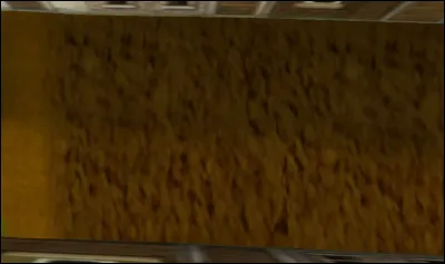 De quel circuit provient cette image ?