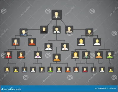Qui de ces quatre personnages n'est pas sur l'arbre généalogique des Black ?