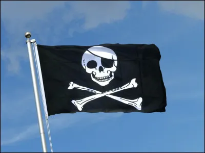 Expert : Que signifie ce drapeau ?
