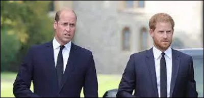 Vrai ou faux : Les petits-fils de la Reine, Harry et William, ont joués dans ''Star Wars''.