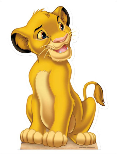 Comment se nomme le jeune lion qui est le personnage principal de l'histoire ?