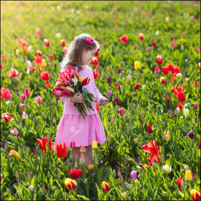 Ton petit frère ou ta petite sœur te demande de lui prêter un objet qui t'est cher (ton téléphone par exemple), que dis-tu ?