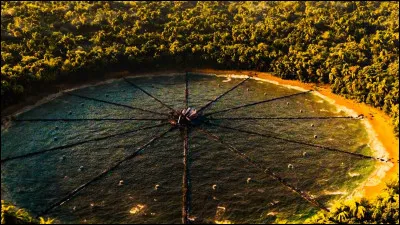 Quelle serait larène où tu penses avoir le plus de chances de survivre ?