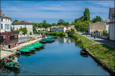 Et lequel de ces livres a reçu le prix Tam-Tam, en 1996 ?