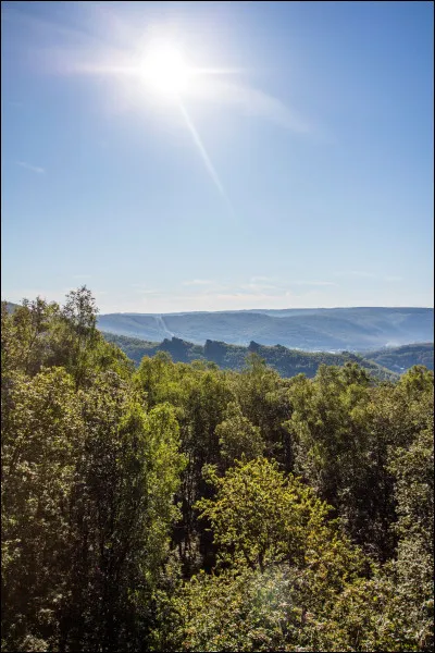 Quel livre, sorti en 2022, est de Tomar Saborido ?