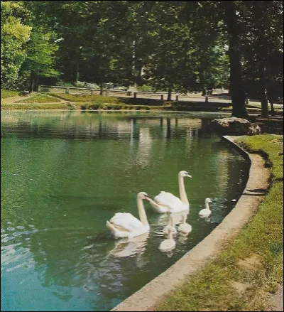 Les aventures de Sherlock Holmes, d'Arthur Conan Doyle comprennent 4 romans. Lequel est le 2eme ?