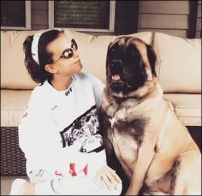 Quel est le nom de son chien ?