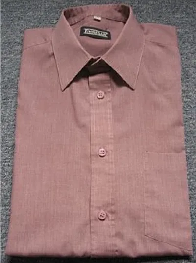 Comment s'appelait le long vêtement de toile fine, principalement féminin, porté aux XIIe et XIIIe siècles, par-dessus la chemise ?