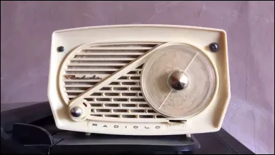 Si l'on vous cite les marques Laden, Bauknecht et Radiola, quels rapports avaient-elle avec Philips ?