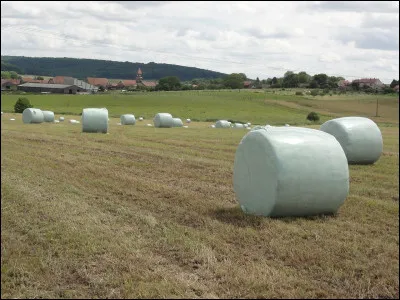 Dans quel département est située la commune de Bezange-la-Grande ?