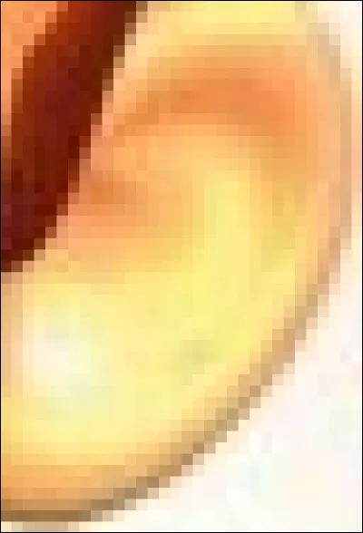 À quel personnage appartient cette oreille ?