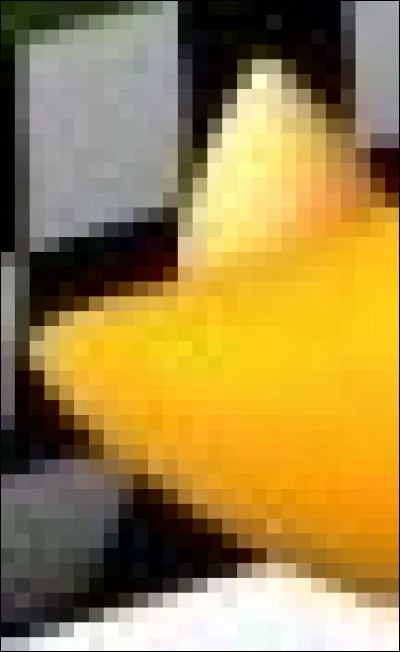 À quel personnage appartient cette queue ?