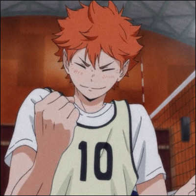 Dans quel manga/anime se trouve Hinata Shôyô ?