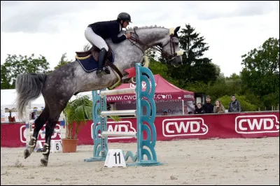 Le CSO est une discipline équestre où on doit sauter des obstacles dans un ordre précis.