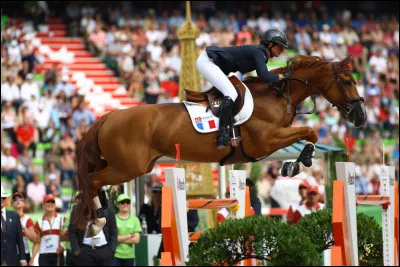 Les CSO est-il un sport ?