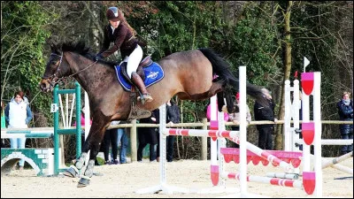 Clique sur les mots qui existent dans le CSO.