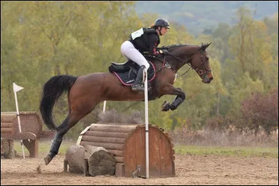 Cette image représente-t-elle du CSO ?