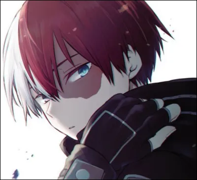 Quelle est ta version de Shoto (MHA) en mode fille préférée ?