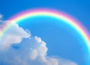 Test Bisounours