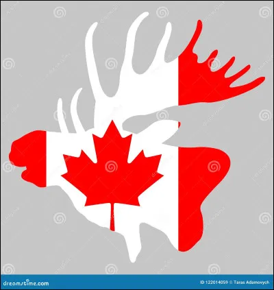 L'emblème animalier du Canada est l'orignal.
