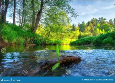 Et pour finir, le drapeau canadien a 3 couleurs.