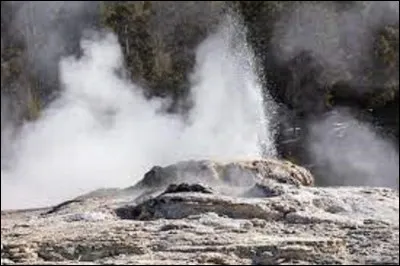 ''Bijou Geyser est'' un geyser situé dans quel grand parc national américain ?