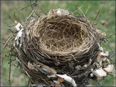 Il y a trois poussins dans un nid, j'en veux deux. Que dois-je faire ?