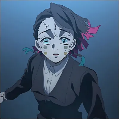 Quel est son principal pouvoir ?