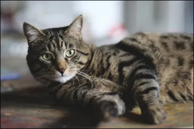 Comment vois-tu l'amitié ?