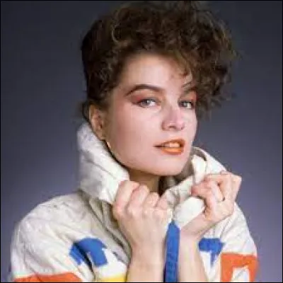 Qui a chanté "Toi mon toit" dans les années 80 ?