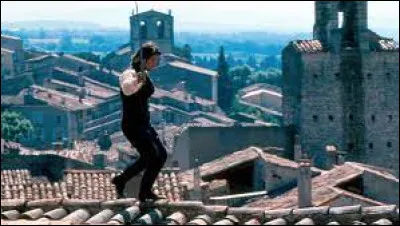 Qui a écrit le roman intitulé "Le Hussard sur le toit" ?